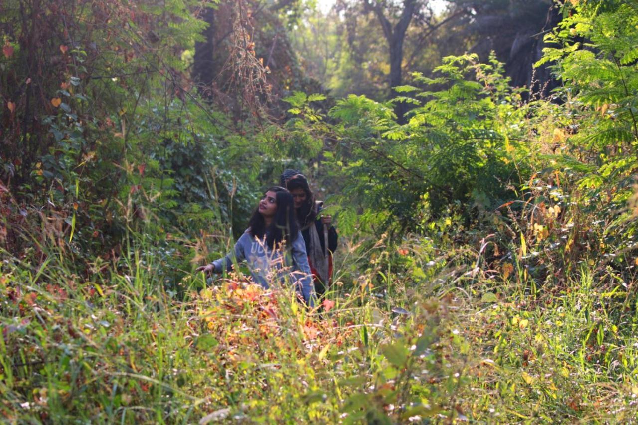 Dera Baghdarrah Nature Retreat Udaipur Exteriör bild