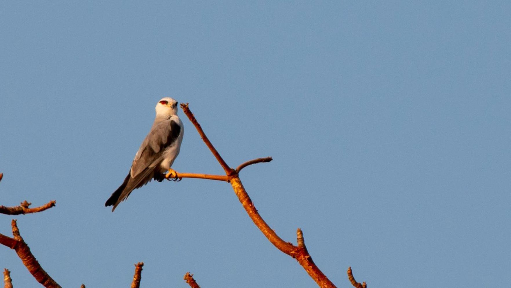 Dera Baghdarrah Nature Retreat Udaipur Exteriör bild