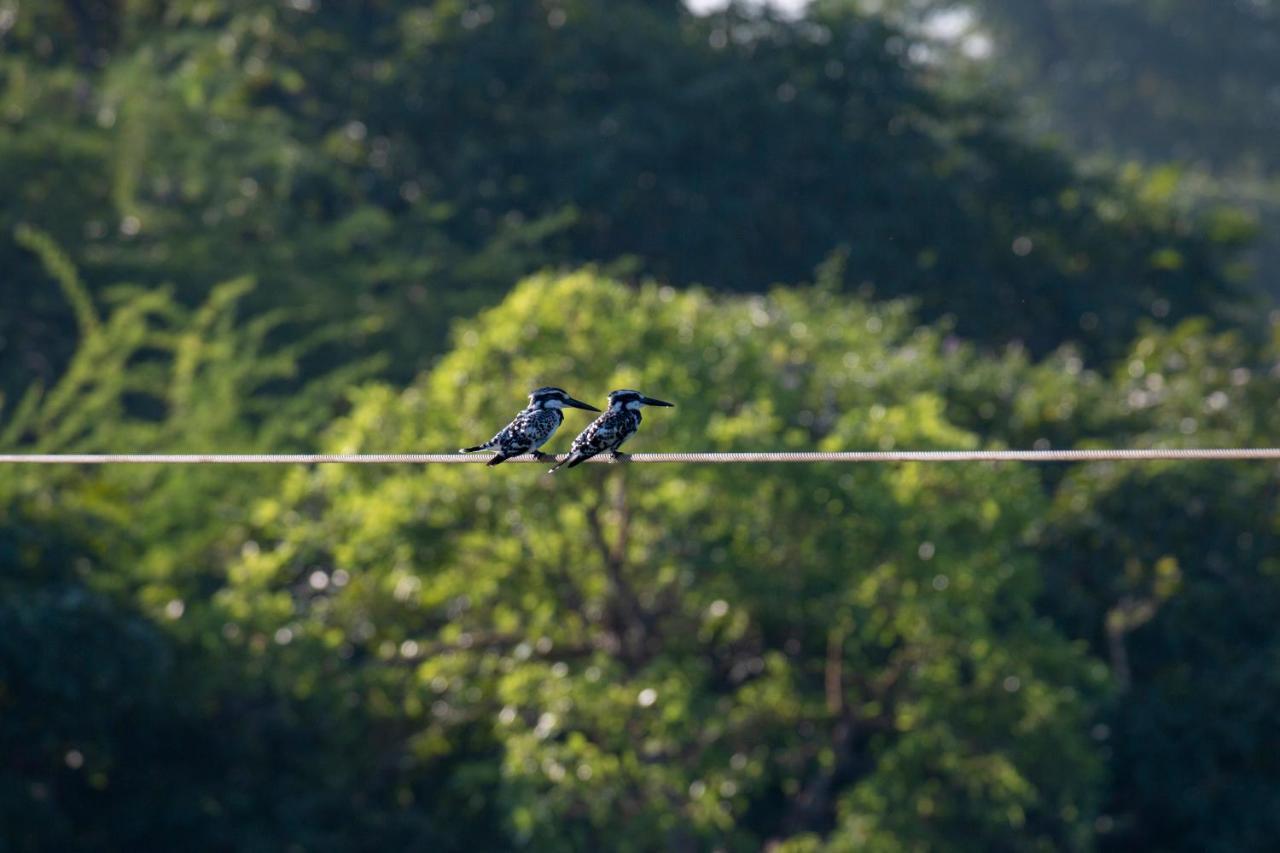 Dera Baghdarrah Nature Retreat Udaipur Exteriör bild