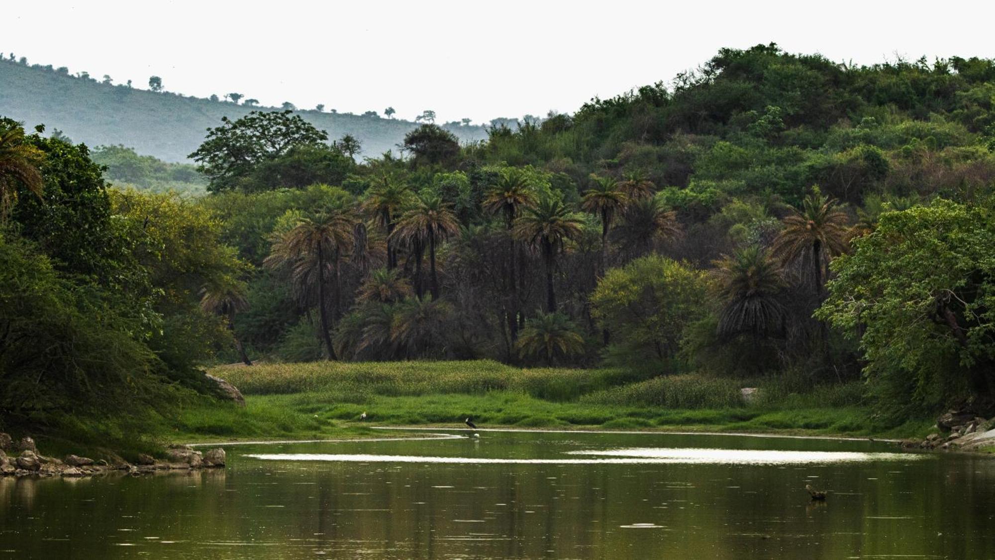 Dera Baghdarrah Nature Retreat Udaipur Exteriör bild