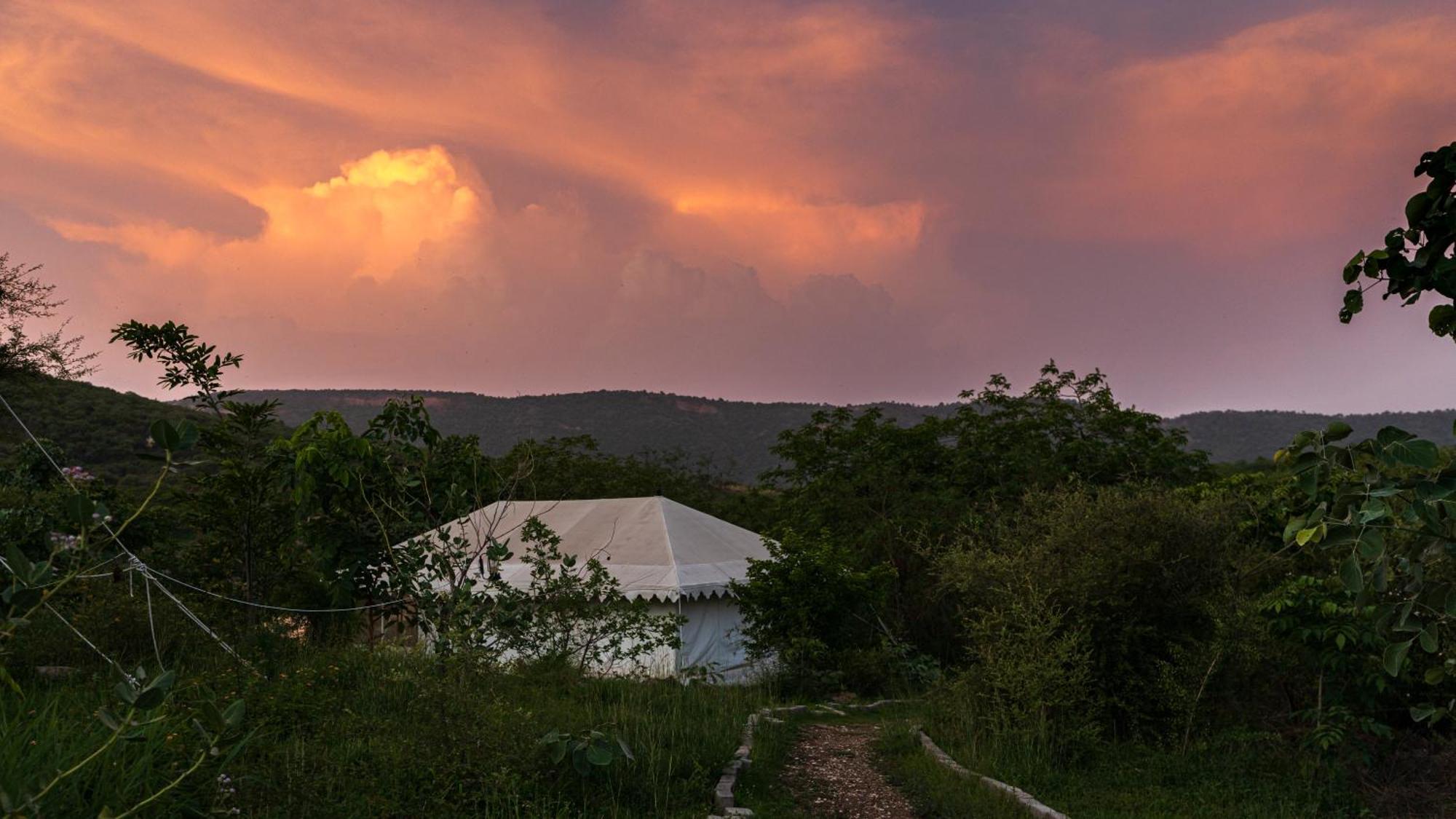 Dera Baghdarrah Nature Retreat Udaipur Exteriör bild