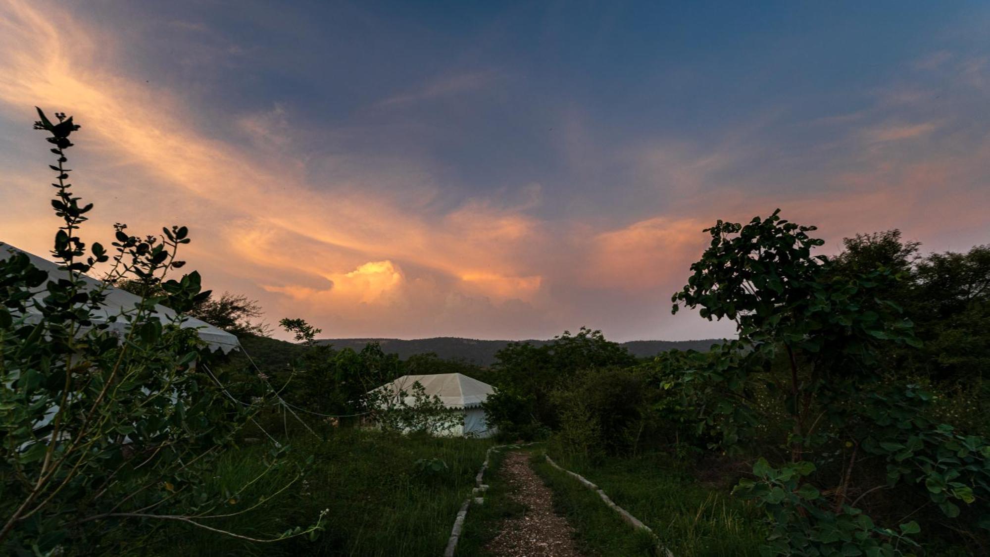 Dera Baghdarrah Nature Retreat Udaipur Exteriör bild
